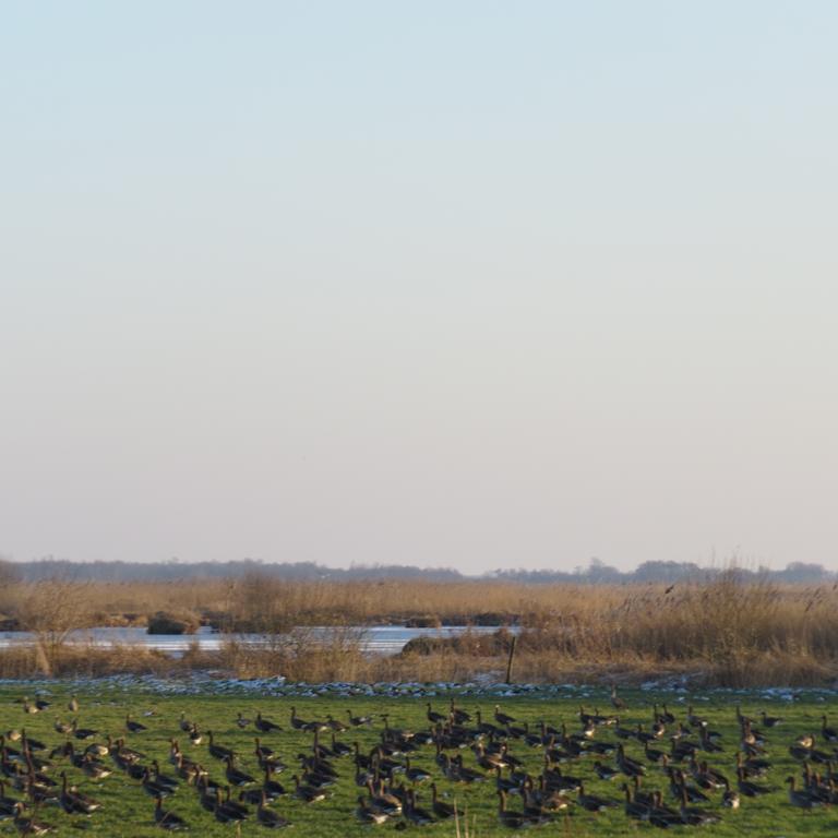 Hotel - Restaurant - Cafe- Geertien Blokzijl Luaran gambar